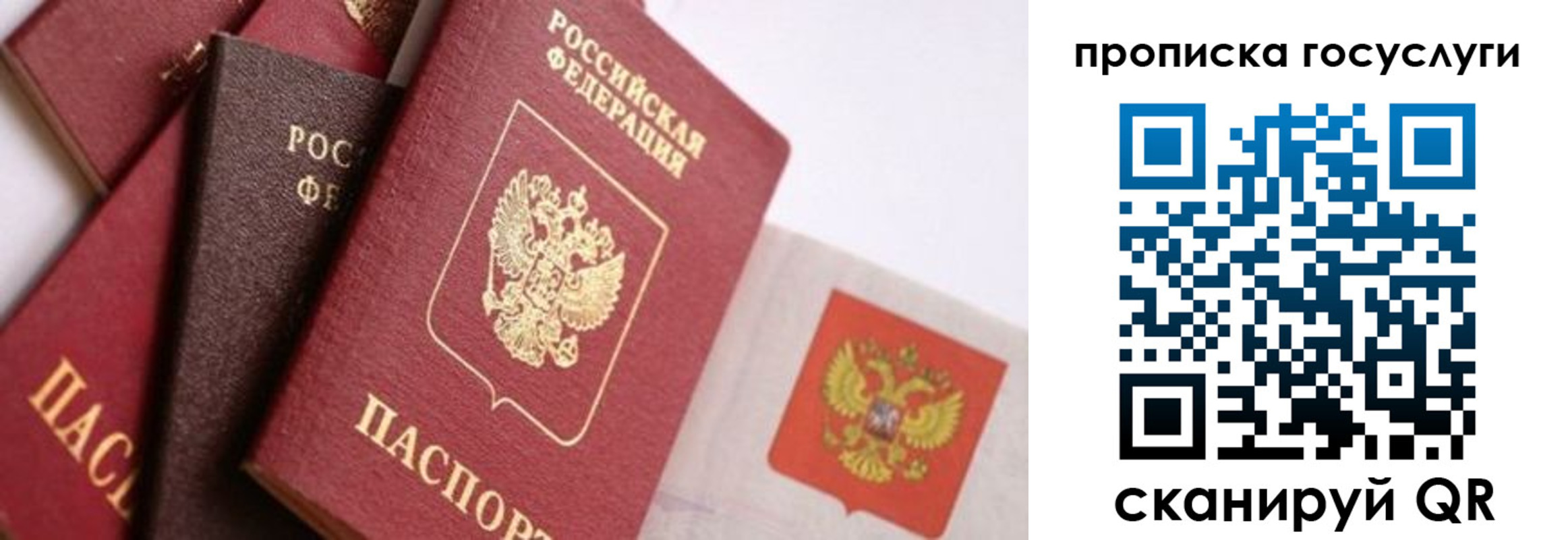 прописка законно в Белгороде